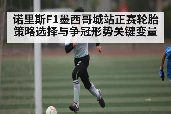 诺里斯F1墨西哥城站正赛轮胎策略选择与争冠形势关键变量